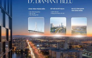 Cú hích hạ tầng kiến tạo vị thế D'. Diamant Bleu